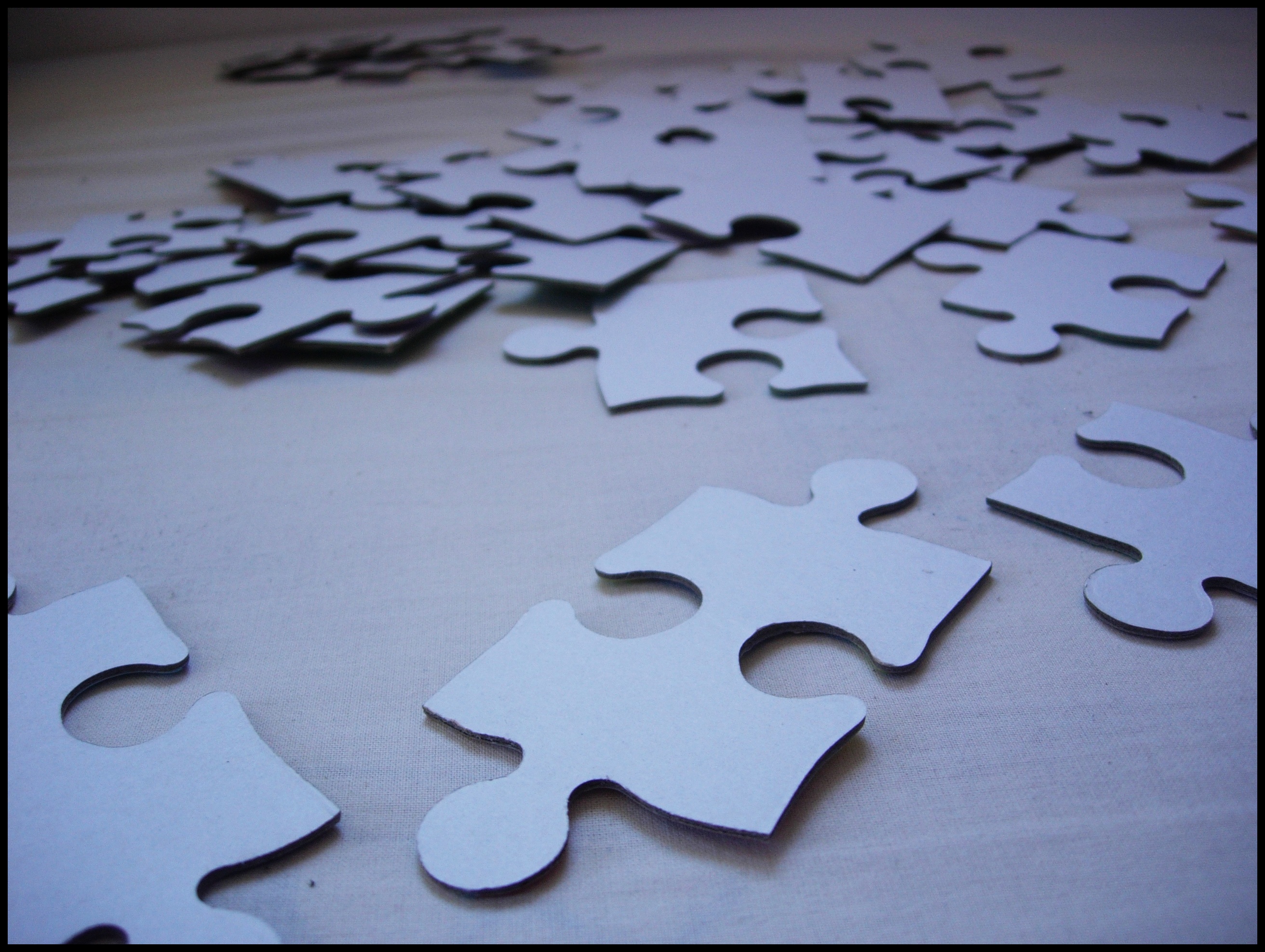 jigsaw pieces